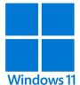 vps windows 11
